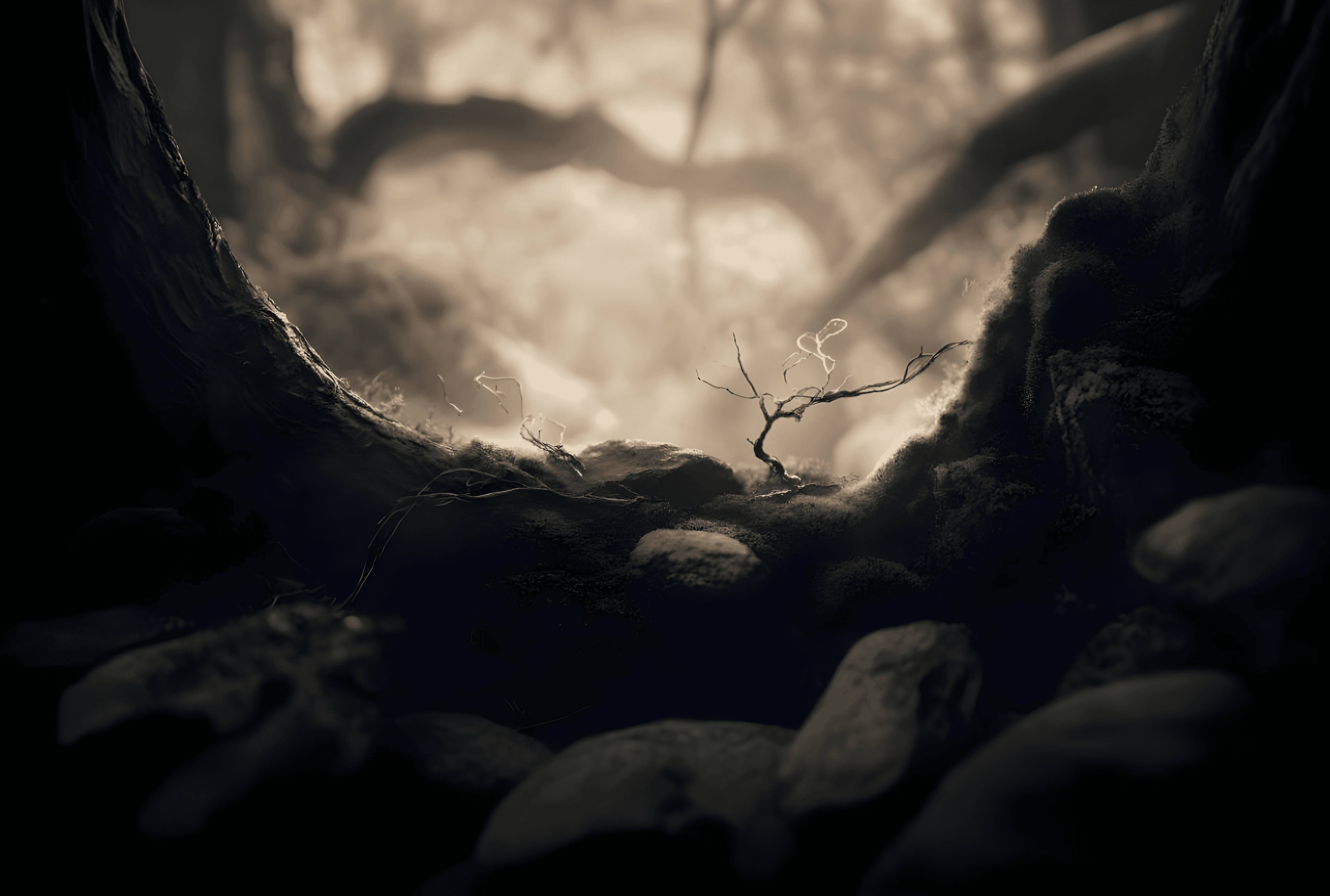 Twisted bare tree in a dark, sepia-toned, foggy landscape.