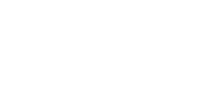 Voxel logo